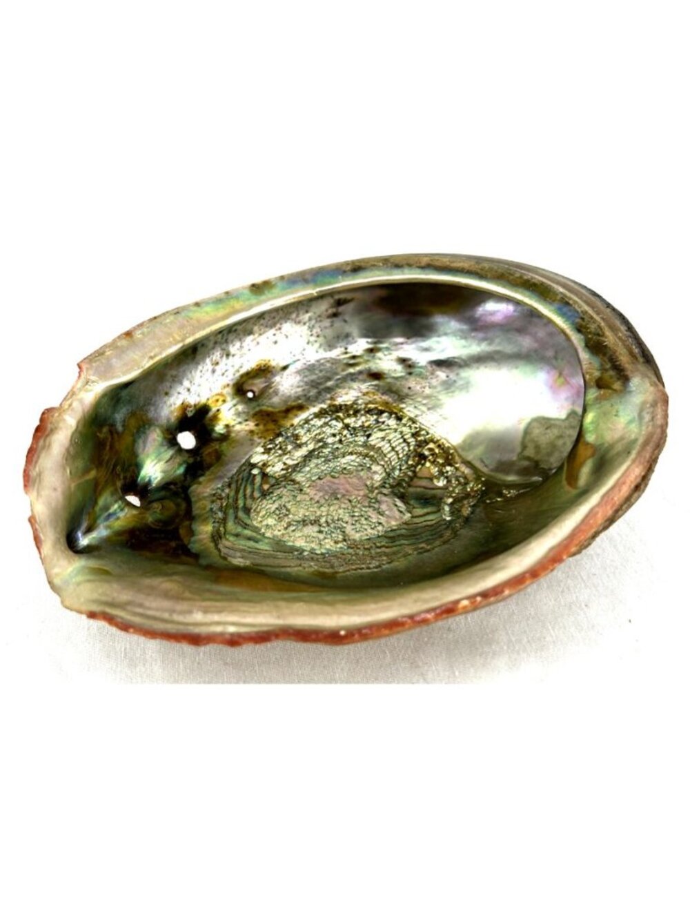 Abalone Shell Bowl 7.75 x 6" Beautiful Iridescent Bowl Large